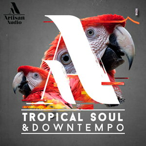 ARTISAN AUDIO TROPICAL SOUL & DOWNTEMPO(IC[i)(2Ԉȓɔ[i) vOC\tg