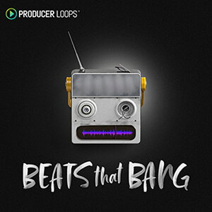 PRODUCER LOOPS BEATS THAT BANG(�I�����C���[�i)(2���Ԉȓ��ɔ[�i) �v���O�C���\�t�g