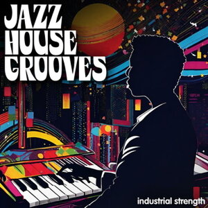 INDUSTRIAL STRENGTH JAZZ HOUSE GROOVES(IC[i)(2Ԉȓɔ[i) vOC\tg