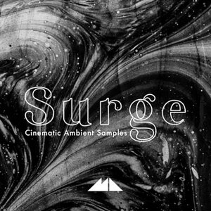 MODEAUDIO SURGE(�I�����C���[�i)(2���Ԉȓ��ɔ[�i) �v���O�C���\�t�g