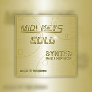 BIG FISH AUDIO yrbOtBbVI[fBIZ[IzMIDI KEYS GOLD: SYNTH RNB/HIPHOP(IC[i)(2Ԉȓɔ[i) vOC\tg