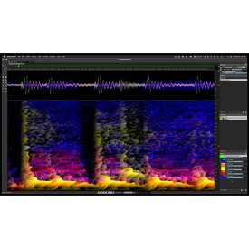 【 Pro Audio Sale 2024】SpectraLayers Pro 10 (オンライン納品)(代引不可) Steinberg DTM DAWソフト