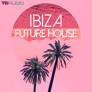 INDUSTRIAL STRENGTH IBIZA FUTURE HOUSE(IC[i)(2Ԉȓɔ[i) vOC\tg