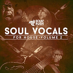 SOUL RUSH RECORDS �y���[�v�}�X�^�[�Y�S�[���f���E�B�[�N�Z�[���I�zSOUL VOCAL�fS FOR HOUSE VOLUME TWO(�I�����C���[�i)(2���Ԉȓ��ɔ[�i) �v���O�C���\�t�g