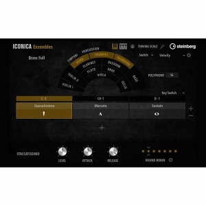 Steinberg Iconica Ensembles (�X�^�C���o�[�O)(�A�C�R���J�A���T���u��)(�I�[�P�X�g������)(�I�����C���[�i)(2���Ԉȓ��ɔ[�i) �\�t�g�E�F�A����