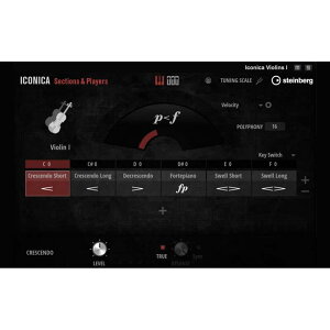 Steinberg Iconica Sections & Players (�X�^�C���o�[�O)(�A�C�R���J�Z�N�V�����A���h�v���C���[�Y)(�I�[�P�X�g������)(�I�����C���[�i)(2���Ԉȓ��ɔ[�i) �\�t�g�E�F�A����