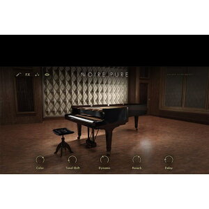 Native Instruments Noire (�l�C�e�B�u�C���X�g�������c)(�m�C�A�[)(�I�����C���[�i)(2���Ԉȓ��ɔ[�i) �v���O�C���\�t�g