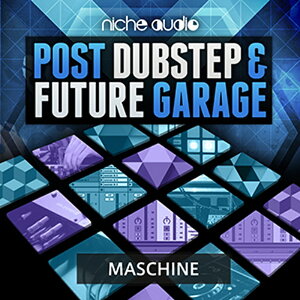 NICHE AUDIO POST DUBSTEP & FUTURE GARAGE - MASCHINE(IC[i)(2Ԉȓɔ[i) vOC\tg