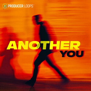PRODUCER LOOPS ANOTHER YOU(�I�����C���[�i)(2���Ԉȓ��ɔ[�i) �v���O�C���\�t�g