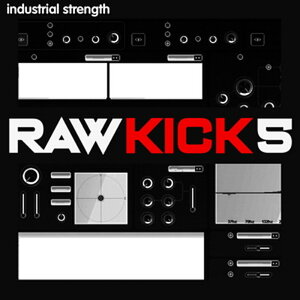 INDUSTRIAL STRENGTH RAW KICK 5(IC[i)(2Ԉȓɔ[i) vOC\tg