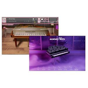 Native Instruments Alicia Keys Bundle (�l�C�e�B�u�C���X�g�������c)(�A���V�A�L�[�Y)(�I�����C���[�i)(2���Ԉȓ��ɔ[�i) �\�t�g�E�F�A����