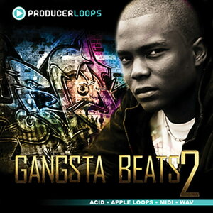 PRODUCER LOOPS GANGSTA BEATS 2(�I�����C���[�i)(2���Ԉȓ��ɔ[�i) �v���O�C���\�t�g