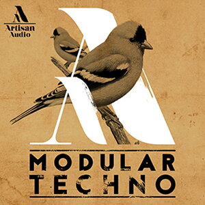 ARTISAN AUDIO MODULAR TECHNO(IC[i)(2Ԉȓɔ[i) vOC\tg