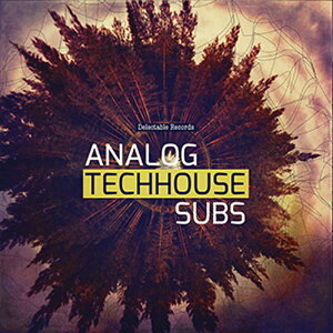 DELECTABLE RECORDS ANALOG TECH HOUSE SUBS(�I�����C���[�i)(2���Ԉȓ��ɔ[�i) �v���O�C���\�t�g
