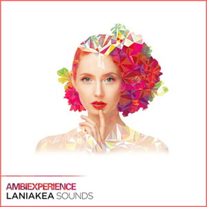 LANIAKEA SOUNDS �y�v���f���[�T�[���[�v�XGW�Z�[���I�zAMBIEXPERIENCE(�I�����C���[�i)(2���Ԉȓ��ɔ[�i) �v���O�C���\�t�g