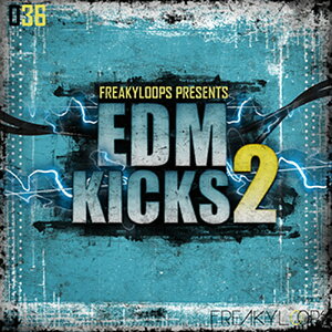 FREAKY LOOPS EDM KICKS 2(�I�����C���[�i)(2���Ԉȓ��ɔ[�i) �v���O�C���\�t�g