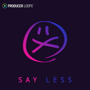 PRODUCER LOOPS SAY LESS(�I�����C���[�i)(2���Ԉȓ��ɔ[�i) �v���O�C���\�t�g