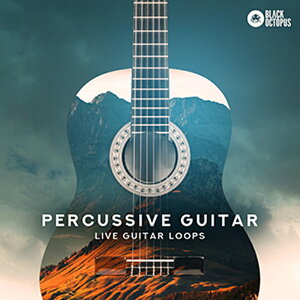 BLACK OCTOPUS PERCUSSIVE GUITAR(IC[i)(2Ԉȓɔ[i) vOC\tg