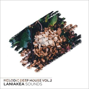 LANIAKEA SOUNDS MELODIC DEEP HOUSE VOL 2(IC[i)(2Ԉȓɔ[i) vOC\tg