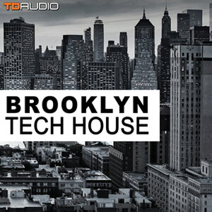 INDUSTRIAL STRENGTH TD AUDIO - BROOKLYN TECH HOUSE(IC[i)(2Ԉȓɔ[i) vOC\tg