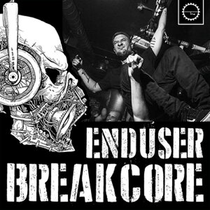 INDUSTRIAL STRENGTH ENDUSER BREAKCORE(IC[i)(2Ԉȓɔ[i) vOC\tg