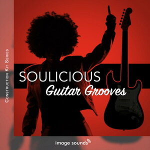 IMAGE SOUNDS SOULICIOUS GUITAR GROOVES 1 (�\�E���t��)(�M�^�[�\��)(�M�^�[���t)(�R���X�g���N�V�����L�b�g)(�I�����C���[�i)(2���Ԉȓ��ɔ[�i) �v���O�C���\�t�g