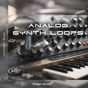 IMAGE SOUNDS Analog Synth Loops (���B���e�[�W)(�A�i���O�V���Z)(���[�v�T�E���h)(�T���v���p�b�N)(�I�����C���[�i)(2���Ԉȓ��ɔ[�i) �v���O�C���\�t�g