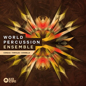 BLACK OCTOPUS WORLD PERCUSSION ENSEMBLE(IC[i)(2Ԉȓɔ[i) vOC\tg
