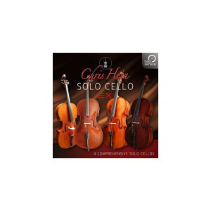 BestService CHRIS HEIN SOLO CELLO EXTENDED (�I�����C���[�i)(2���Ԉȓ��ɔ[�i) �\�t�g�E�F�A����