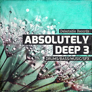 DELECTABLE RECORDS ABSOLUTELY DEEP 03(IC[i)(2Ԉȓɔ[i) vOC\tg