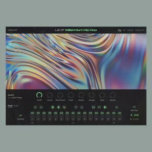 Native Instruments Leap Expansion - Millennium Hip Hop (�q�b�v�z�b�v)(R&B)(�|�b�v�X)(�I�����C���[�i)(2���Ԉȓ��ɔ[�i) �\�t�g�E�F�A����