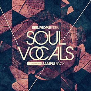 LOOPMASTERS REEL PEOPLE PRESENT SOUL VOCALS(�I�����C���[�i)(2���Ԉȓ��ɔ[�i) �v���O�C���\�t�g