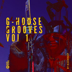 BLACK OCTOPUS yubNINgpXubNtCf[IzG-HOUSE GROOVES VOL.1(IC[i)(2Ԉȓɔ[i) vOC\tg
