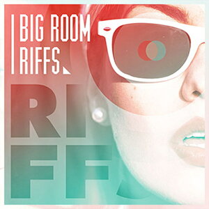 DIGINOIZ BIG ROOM RIFFS(IC[i)(2Ԉȓɔ[i) vOC\tg