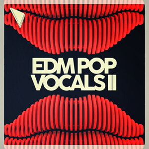 DABRO MUSIC EDM POP VOCALS II(�I�����C���[�i)(2���Ԉȓ��ɔ[�i) �v���O�C���\�t�g