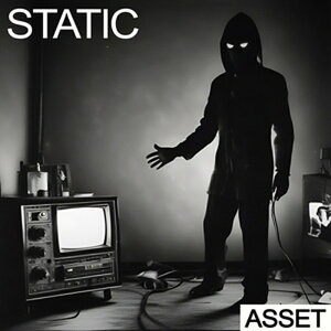 INDUSTRIAL STRENGTH STATIC - ASSET(�I�����C���[�i)(2���Ԉȓ��ɔ[�i) �v���O�C���\�t�g