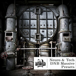 RANKIN AUDIO NEURO & TECH DNB MASSIVE PRESETS(�I�����C���[�i)(2���Ԉȓ��ɔ[�i) �v���O�C���\�t�g
