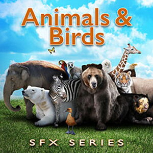 SOUND IDEAS yTEhCfAMID YEAR SALEIzANIMALS & BIRDS SFX SERIES(IC[i)(2Ԉȓɔ[i) vOC\tg