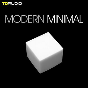 INDUSTRIAL STRENGTH TD AUDIO - MODERN MINIMAL TECHNO(IC[i)(2Ԉȓɔ[i) vOC\tg
