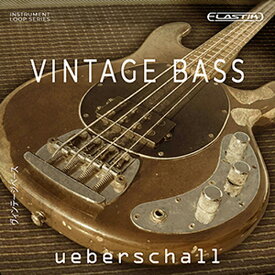 UEBERSCHALL VINTAGE BASS(オンライン納品)(2時間以内に納品) ソフトウェア音源