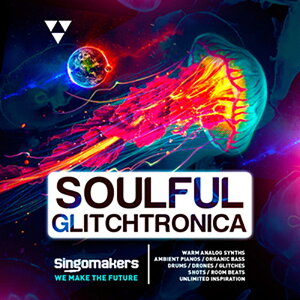 SINGOMAKERS SOULFUL GLITCHTRONICA(IC[i)(2Ԉȓɔ[i) vOC\tg