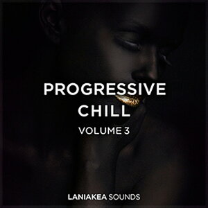LANIAKEA SOUNDS PROGRESSIVE CHILL 3(IC[i)(2Ԉȓɔ[i) vOC\tg