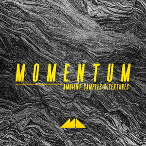 MODEAUDIO MOMENTUM(�I�����C���[�i)(2���Ԉȓ��ɔ[�i) �v���O�C���\�t�g