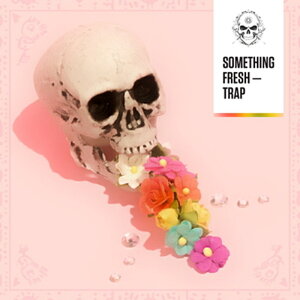 DIGINOIZ SOMETHING FRESH - TRAP(�I�����C���[�i)(2���Ԉȓ��ɔ[�i) �v���O�C���\�t�g