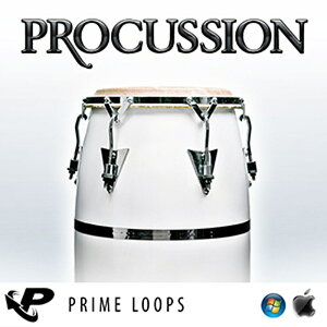 PRIME LOOPS PROCUSSION(IC[i)(2Ԉȓɔ[i) vOC\tg