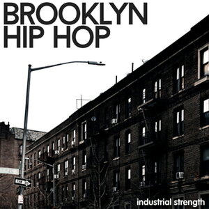 INDUSTRIAL STRENGTH BROOKLYN HIP HOP(IC[i)(2Ԉȓɔ[i) vOC\tg