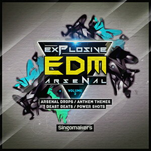SINGOMAKERS EXPLOSIVE EDM ARSENAL VOL. 2(�I�����C���[�i)(2���Ԉȓ��ɔ[�i) �v���O�C���\�t�g