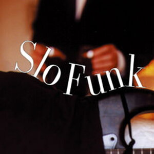 BIG FISH AUDIO yrbOtBbVI[fBIZ[IzSLO FUNK(IC[i)(2Ԉȓɔ[i) vOC\tg