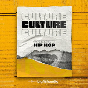 BIG FISH AUDIO CULTURE - CURRENT HIP HOP(�I�����C���[�i)(2���Ԉȓ��ɔ[�i) �v���O�C���\�t�g