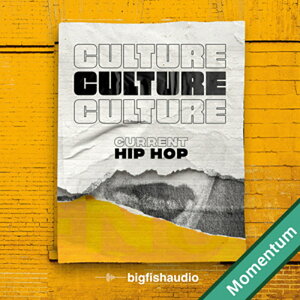 BIG FISH AUDIO CULTURE - CURRENT HIP HOP MMT(�I�����C���[�i)(2���Ԉȓ��ɔ[�i) �v���O�C���\�t�g